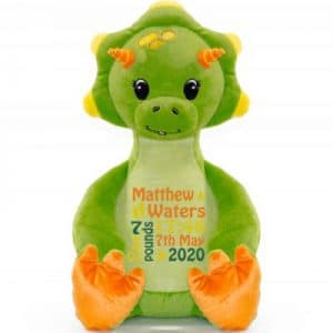Personalised Green Dinosaur Teddy Bear
